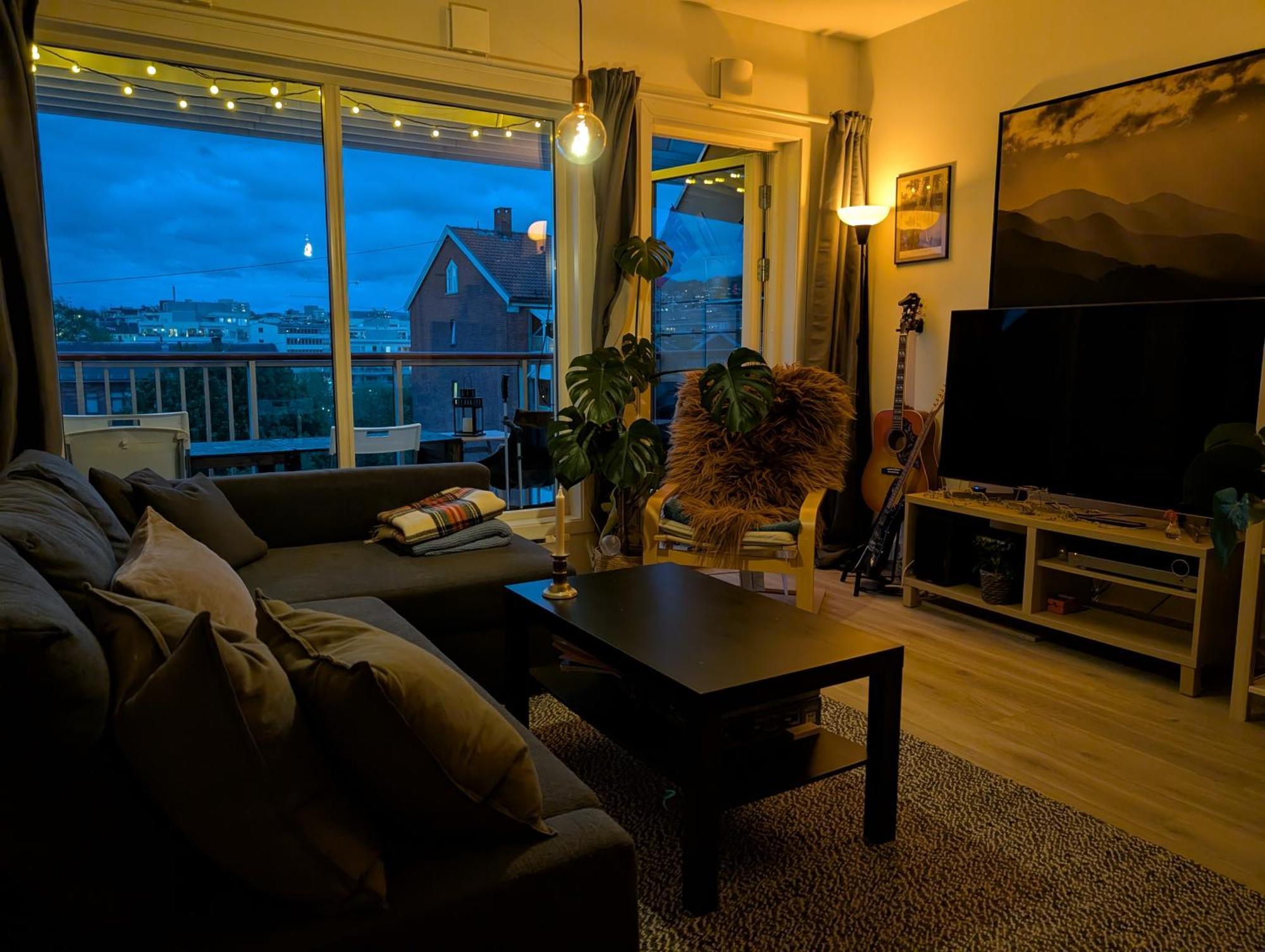 Spacious And Cozy Study With Balcony Lägenhet Oslo